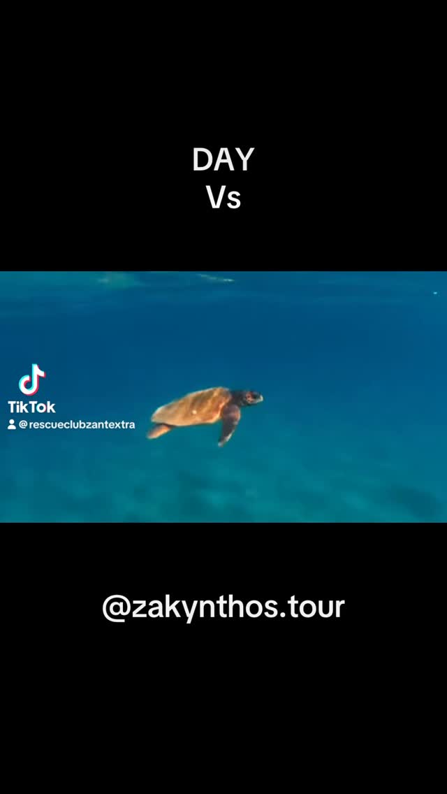 Video 8 from Rescue Club
