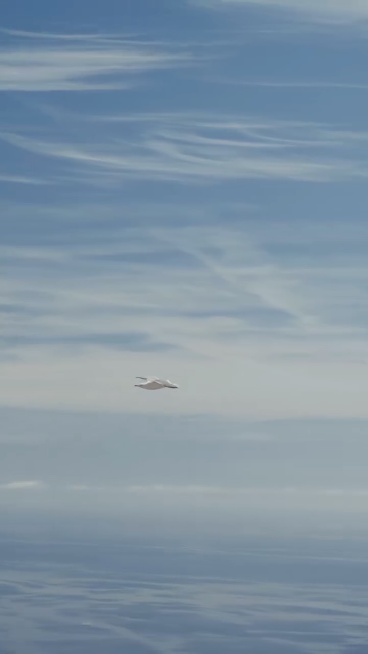 Video 1 from Riviera Restaurant at The Maybourne