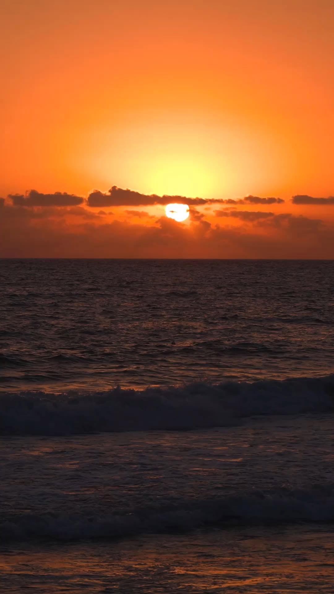 Video 1 from Sē