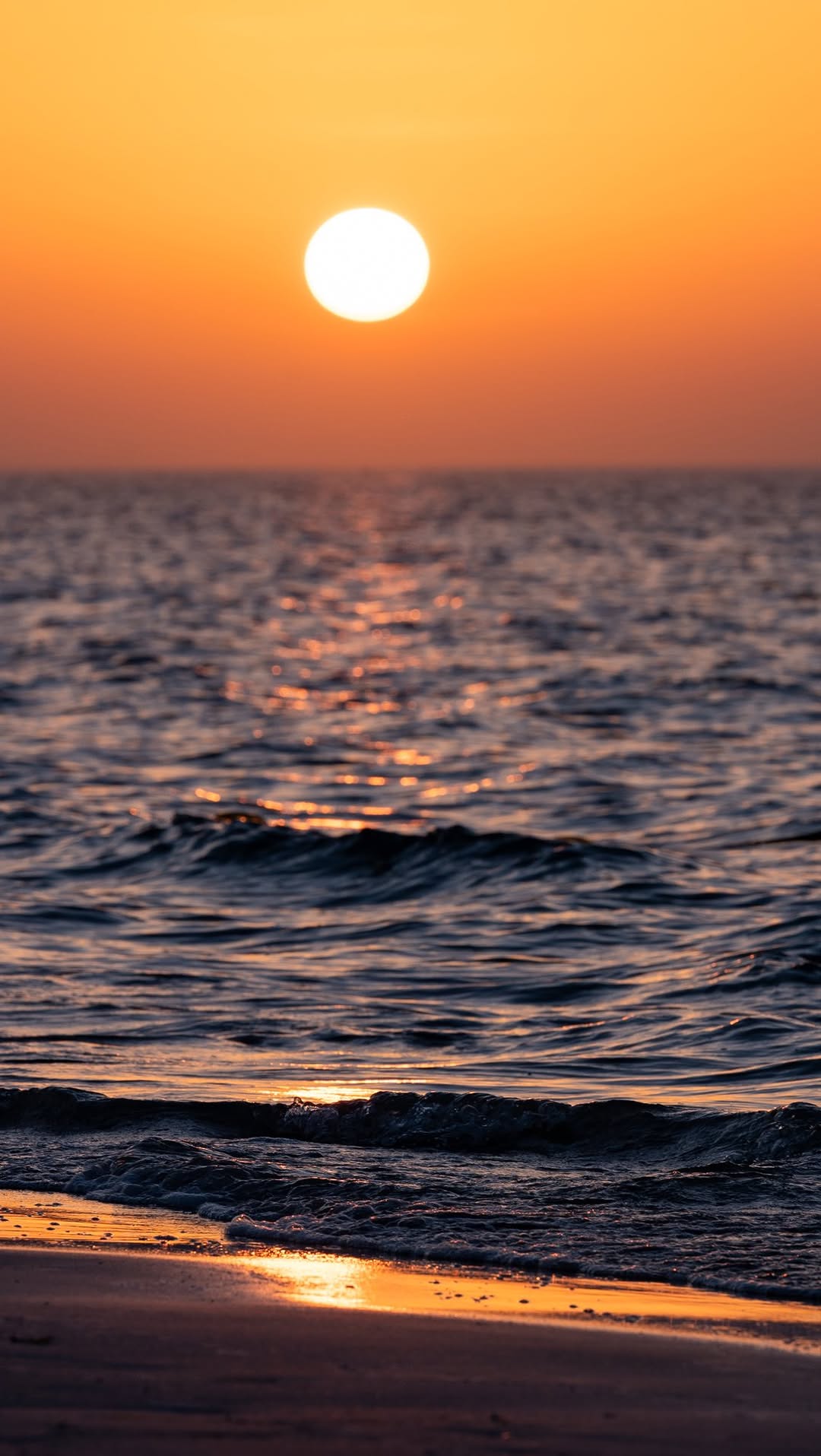 Video 6 from Saadiyat Beach Club