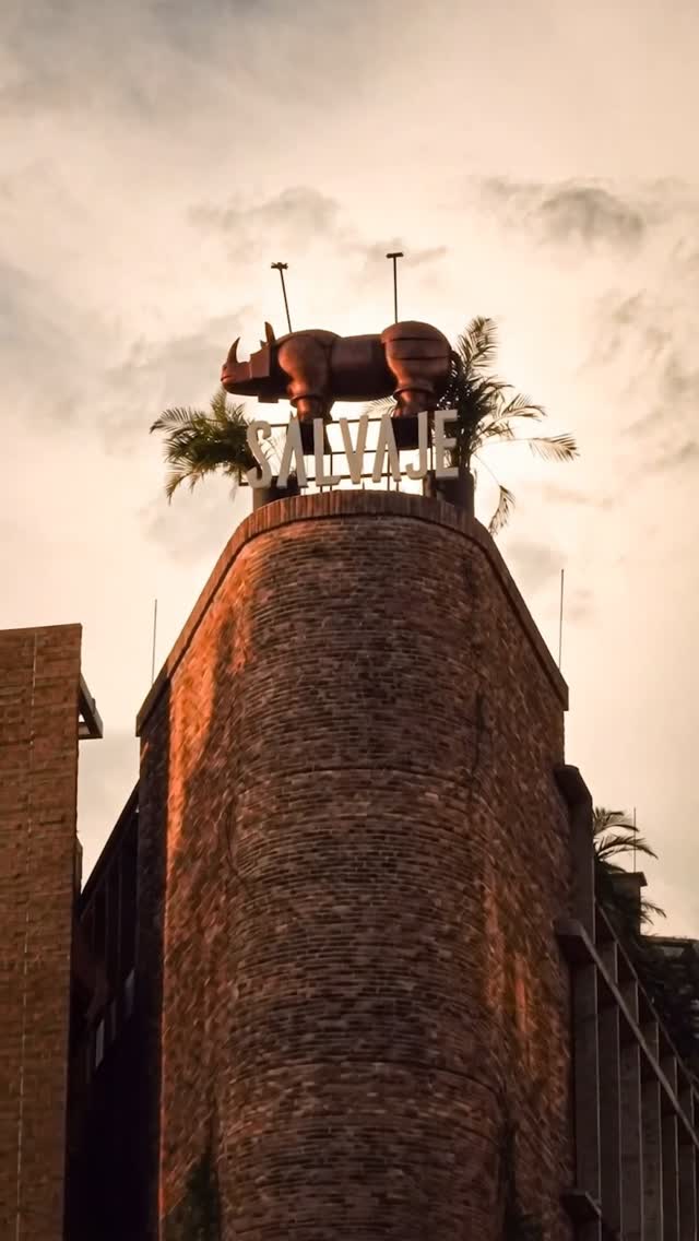 Video 1 from Salvaje