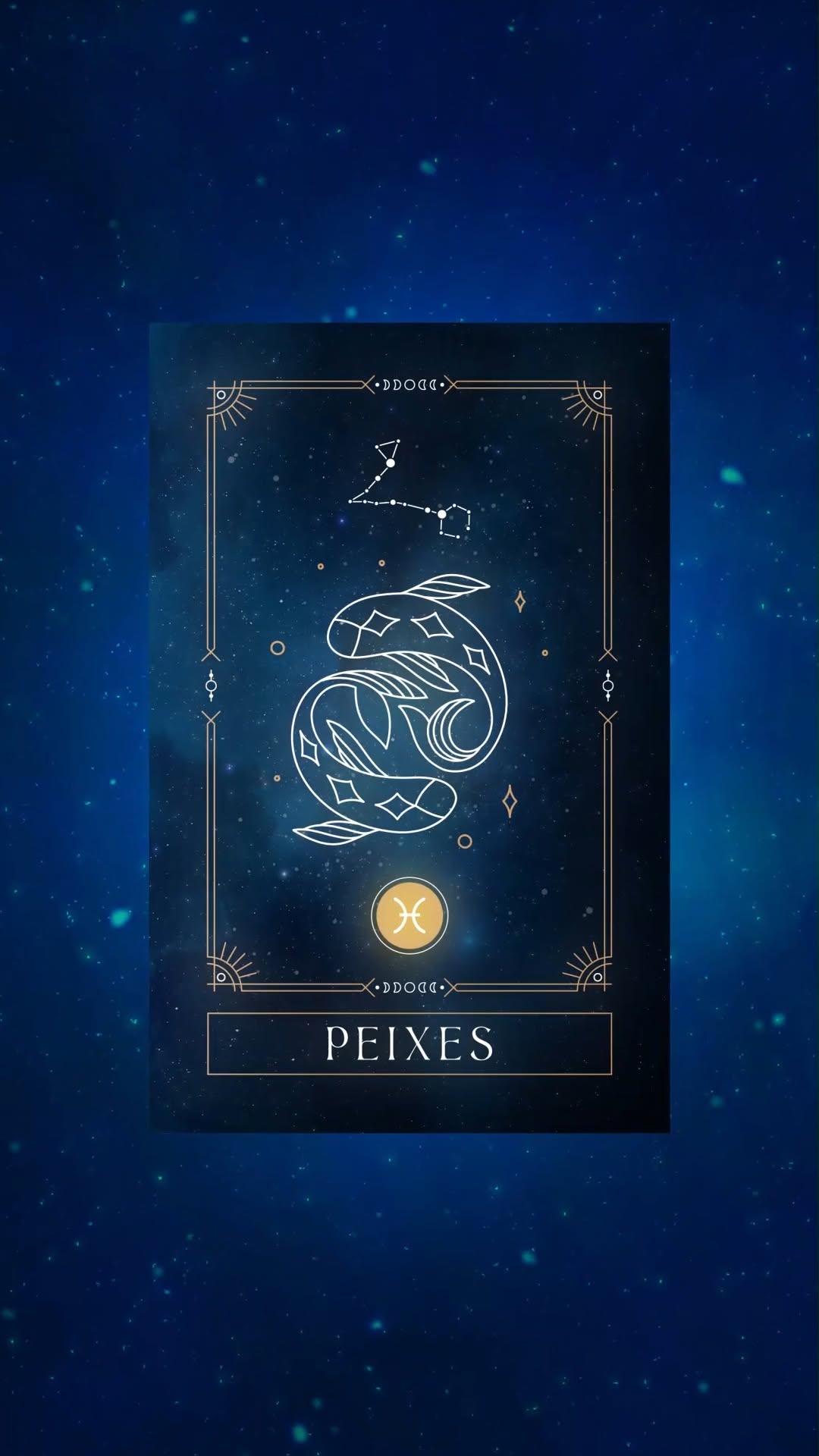 Video 6 from Seen