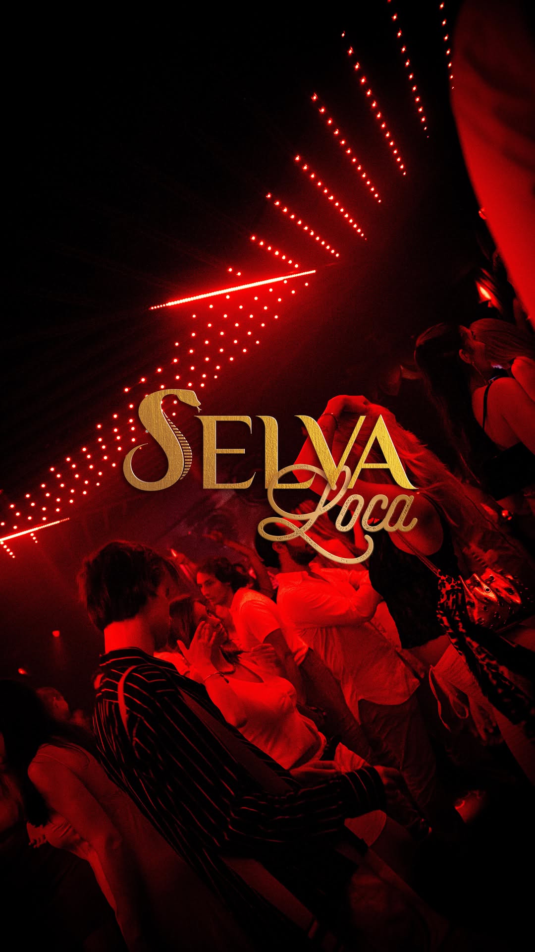 Video 1 from Selva  