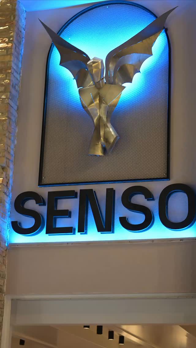 Video 3 from Senso