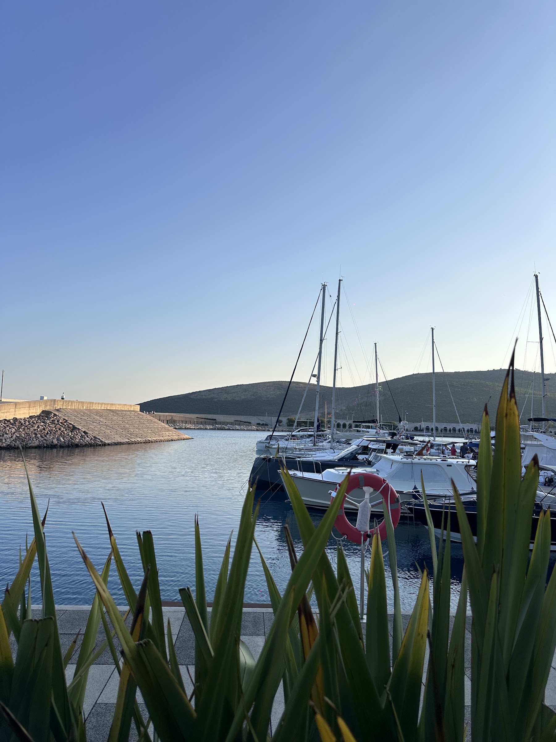 Signorina Beach Club, a beach club in Kotor, Montenegro — photo 2