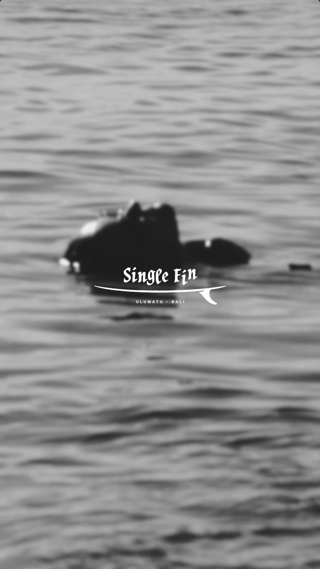 Video 1 from Single Fin