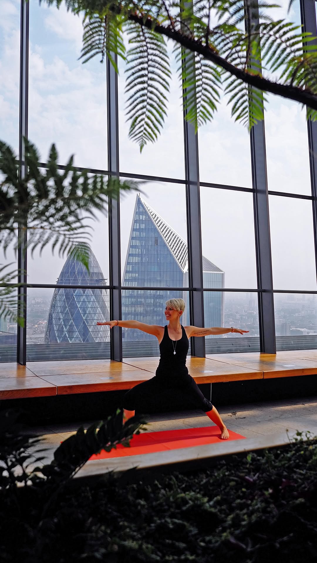 Video 4 from Sky Garden