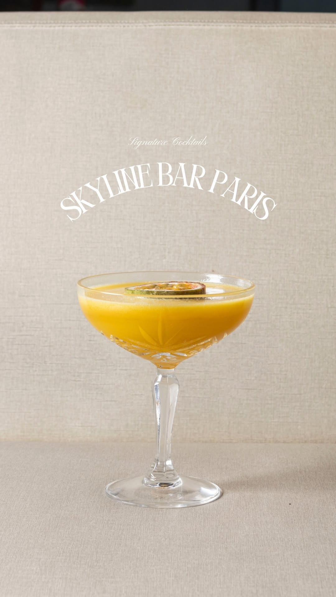Video 2 from Skyline Paris Lounge & Bar