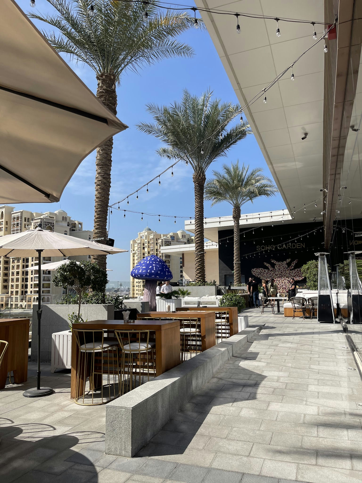 Soho Garden Palm, a night club in Dubai, UAE — photo 6