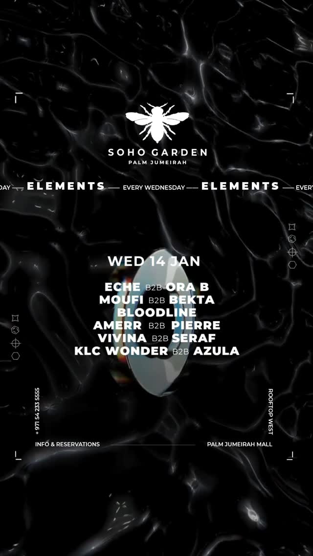 Video 3 from Soho Garden Palm