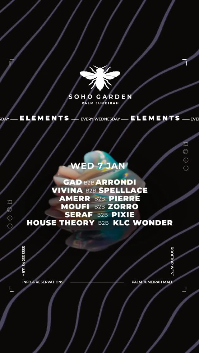 Video 4 from Soho Garden Palm