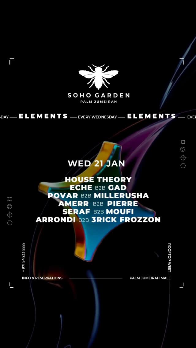 Video 2 from Soho Garden Palm