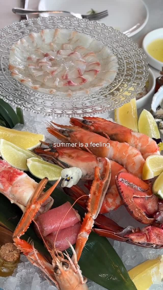 Video 2 from Son of a Fish