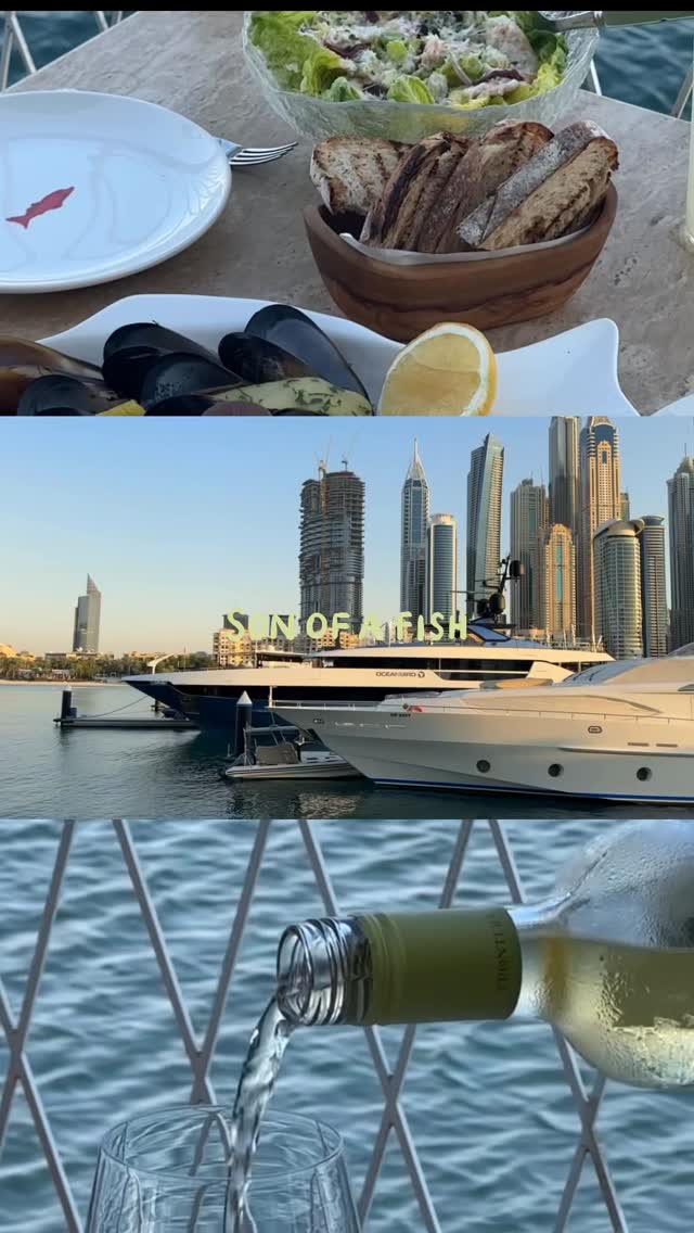 Video 4 from Son of a Fish