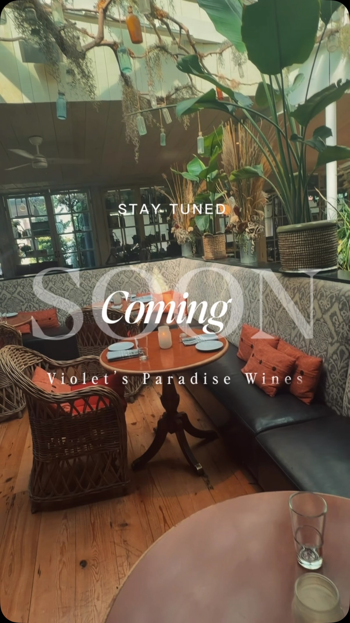Video 5 from SOUTH Restaurant & Jazz Club