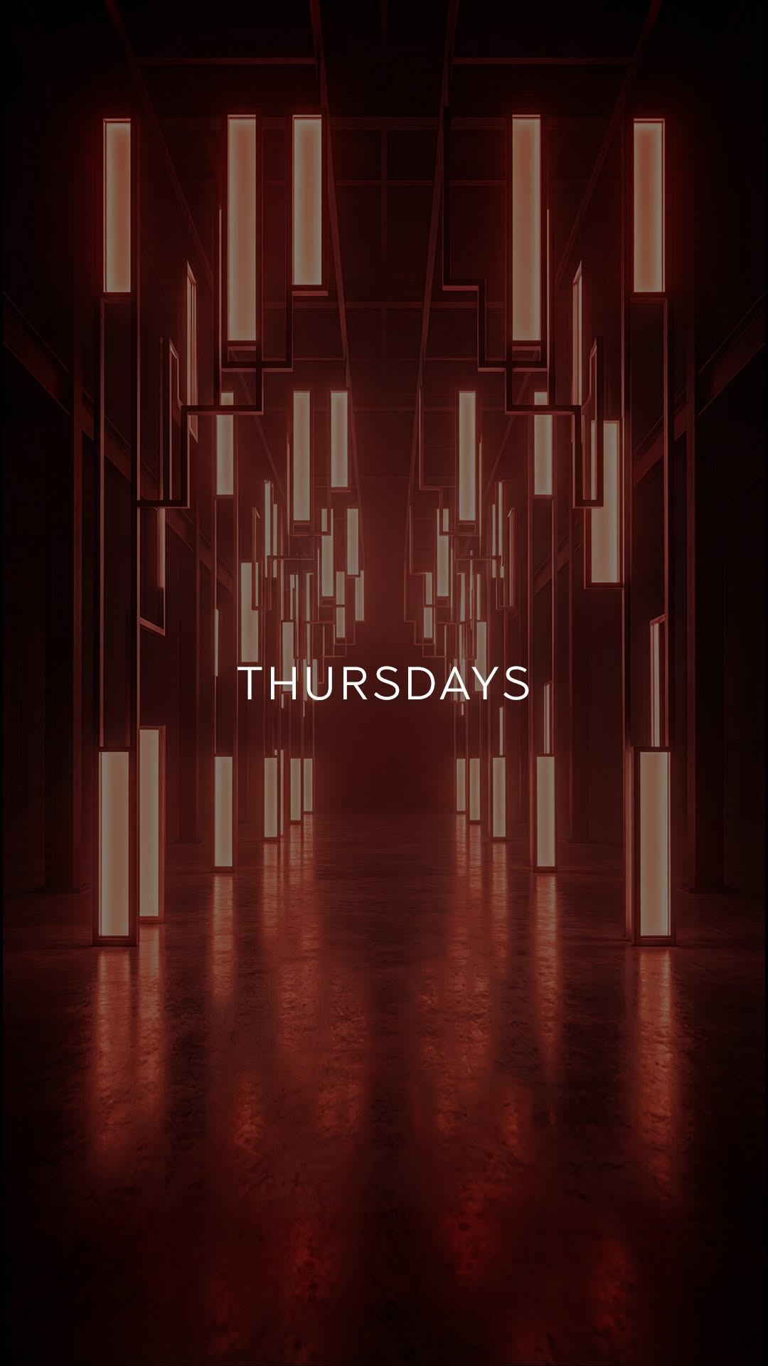 Video 1 from Spine Beirut