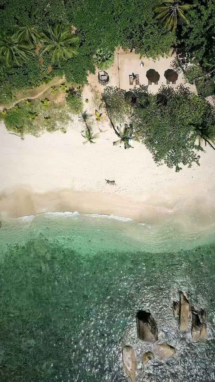 Video 7 from STAR at The Silavadee