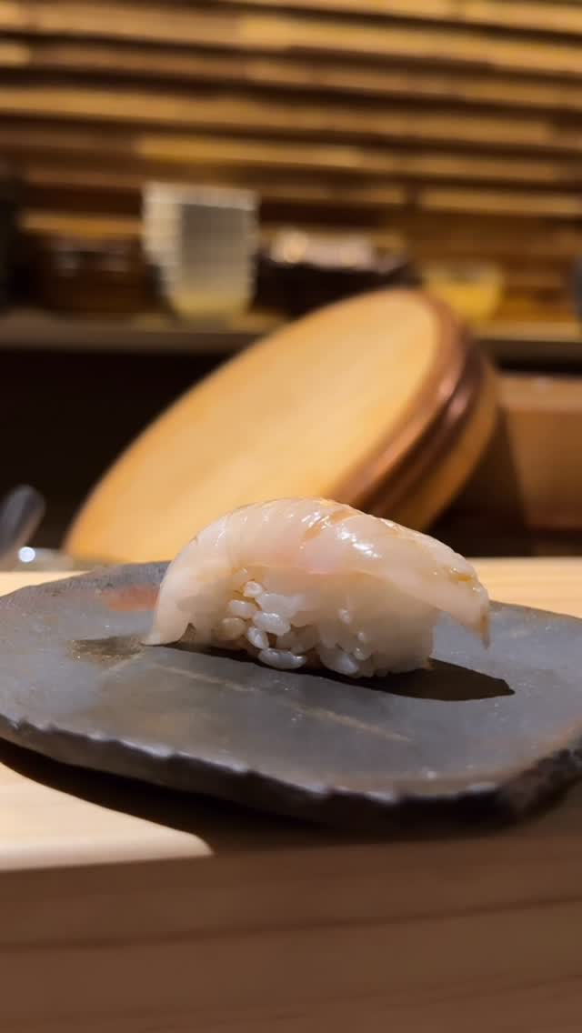 Video 7 from Sushi @ Temple Records