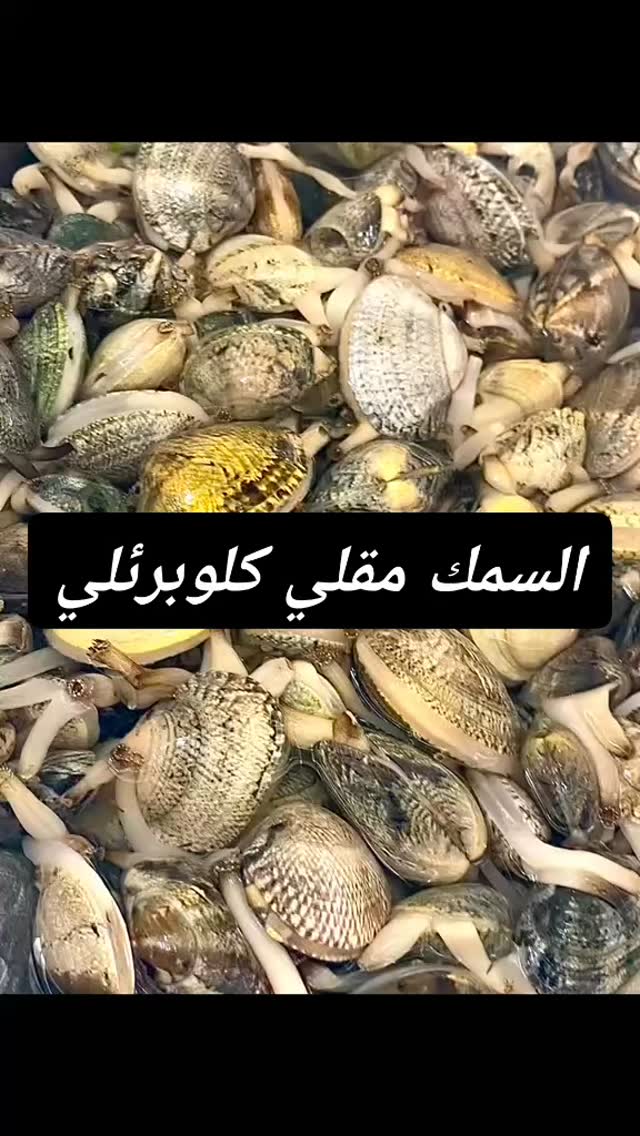 Video 5 from Terrazzina Beach