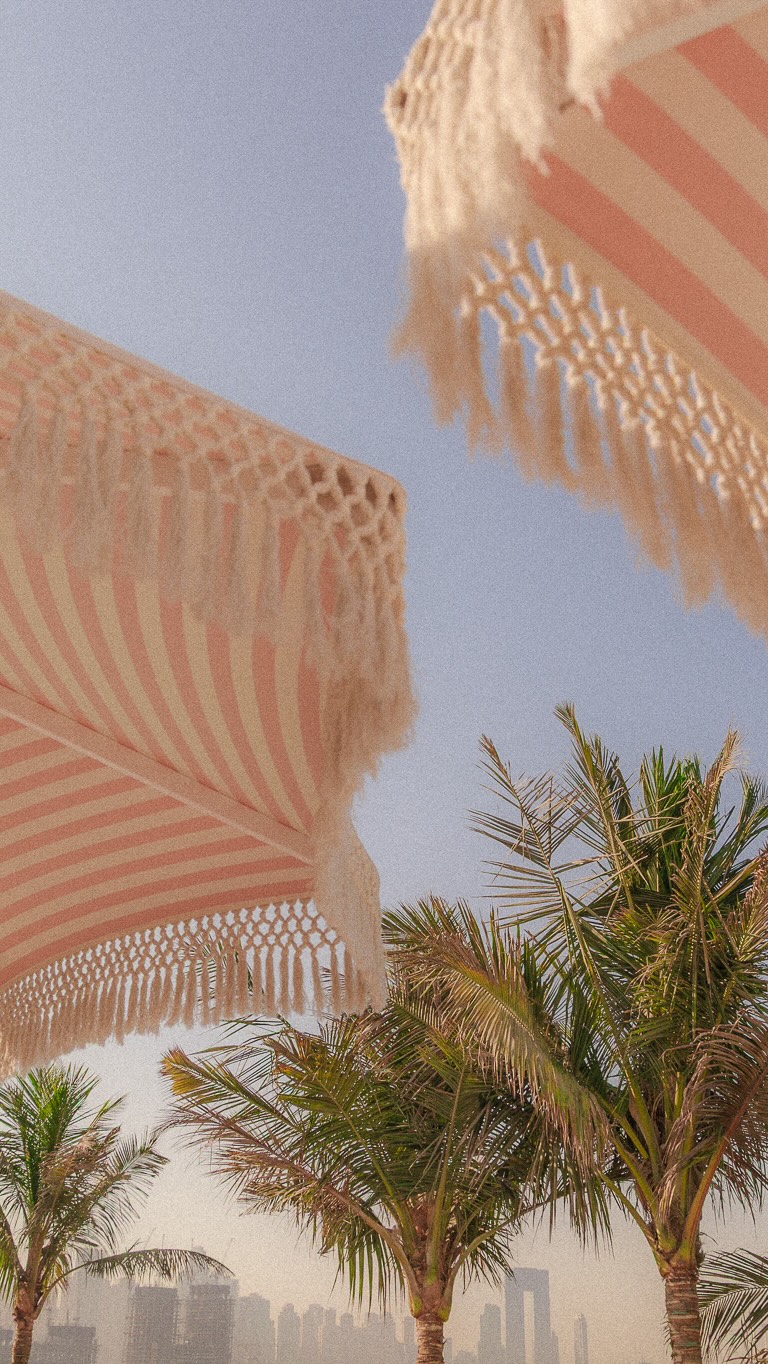 Video 6 from The 305