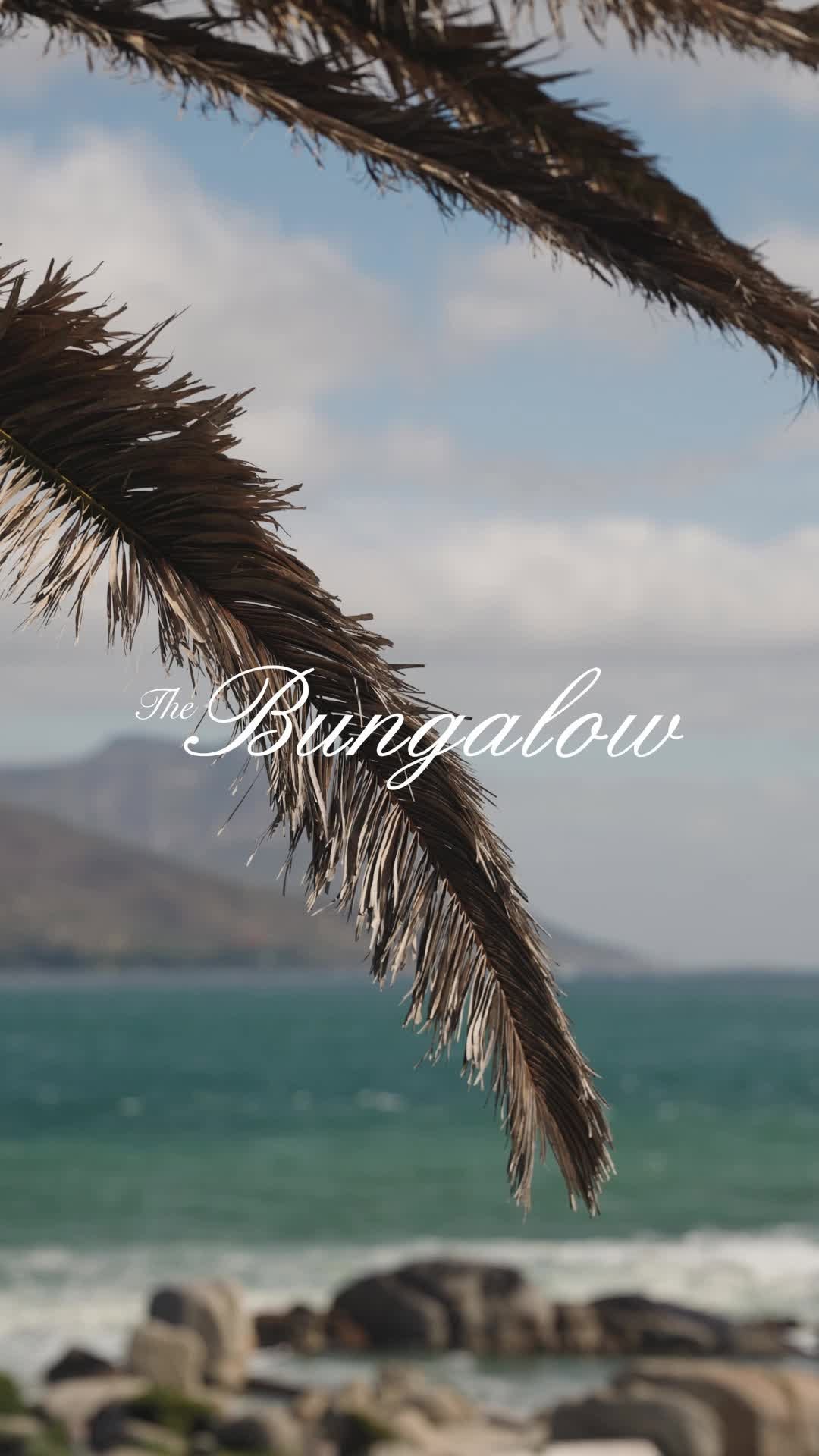Video 6 from The Bungalow