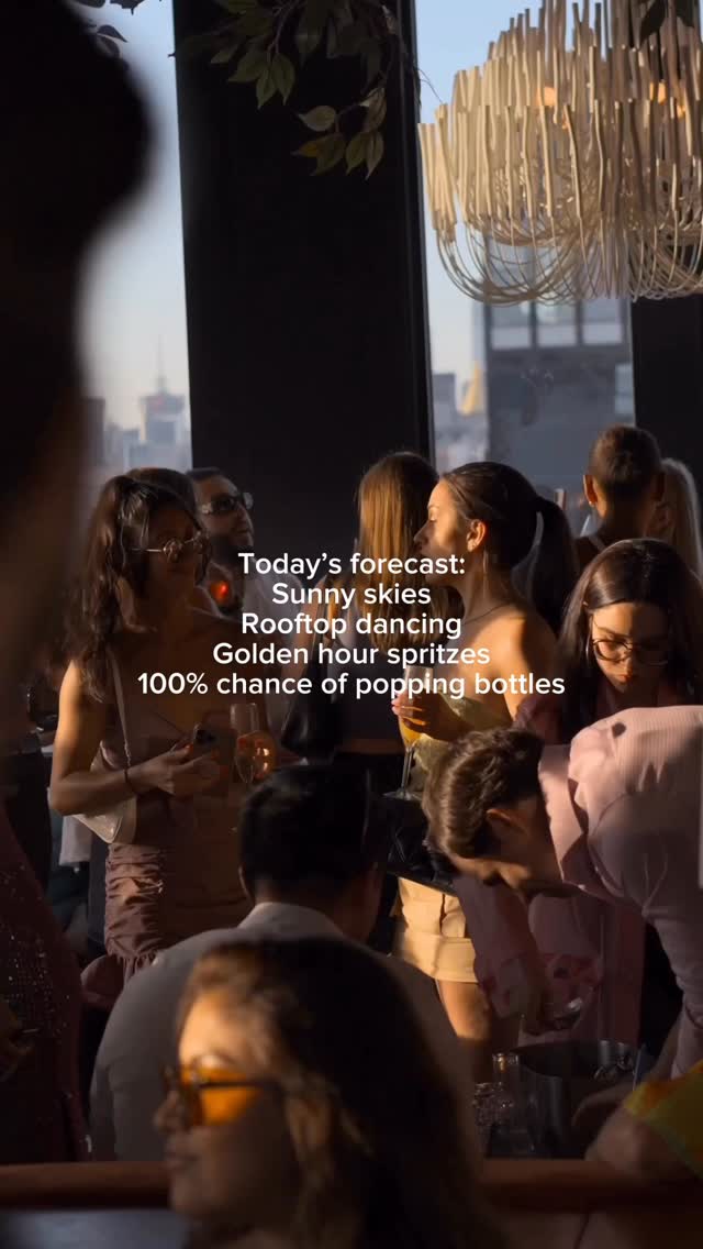 Video 4 from The Highlight Room