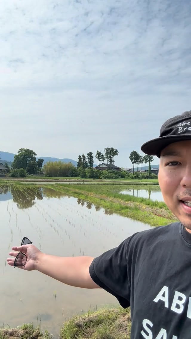 Video 8 from The Koji Club