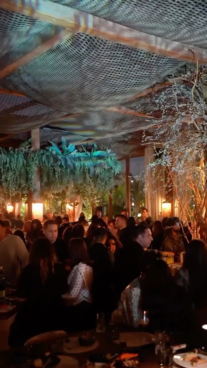 Video 7 from The Lemon Tree