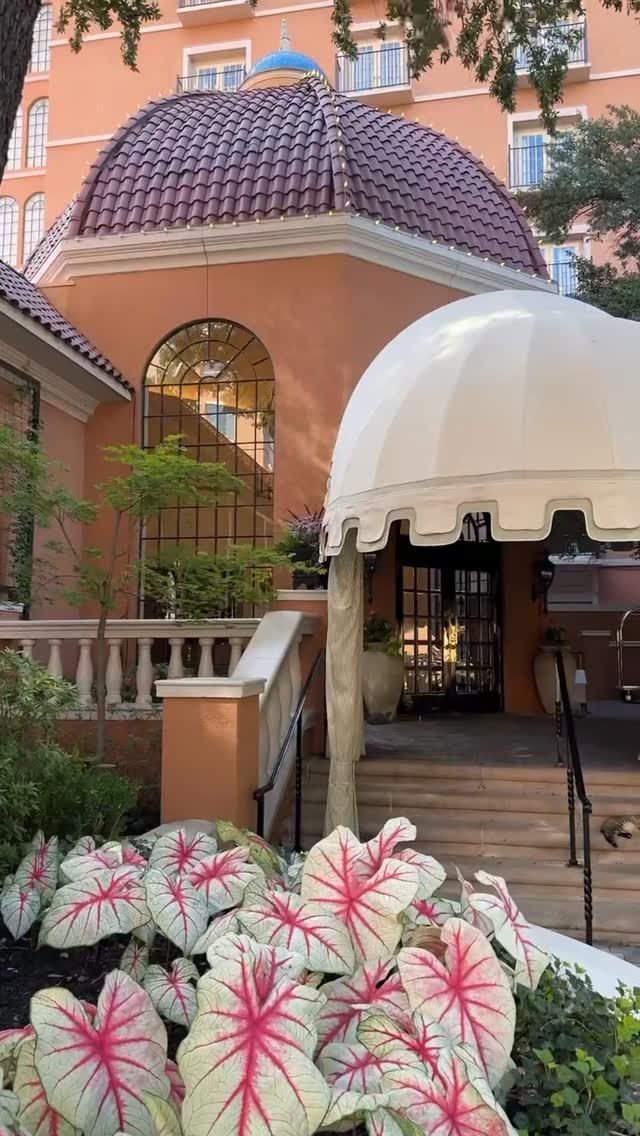 Video 6 from The Mansion Restaurant