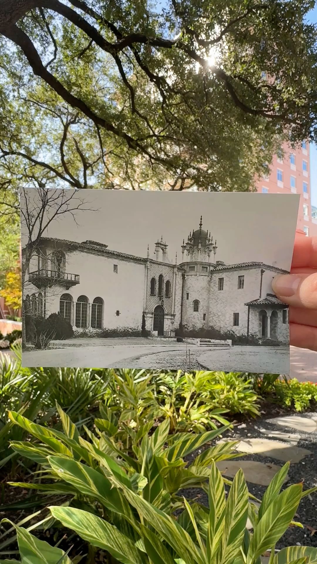 Video 5 from The Mansion Restaurant