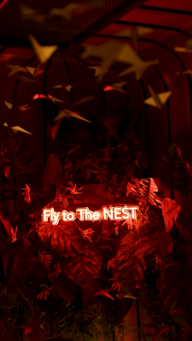 Video 1 from The NEST Restaurant & Lounge Bar