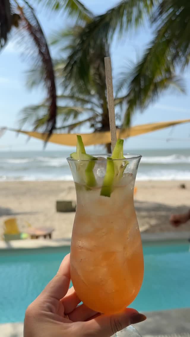 Video 4 from The Pink Mango