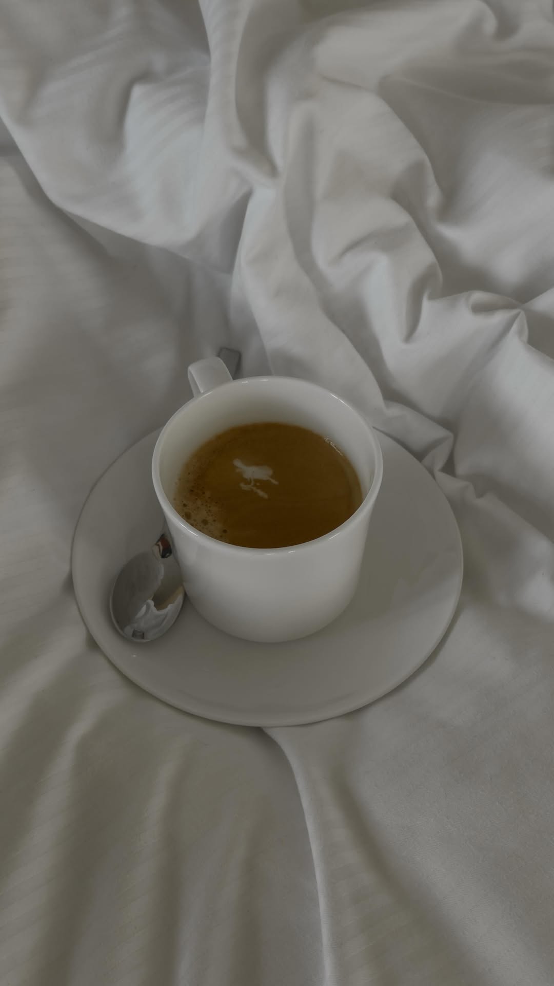 Video 1 from The Ritz-Carlton Atmosphere