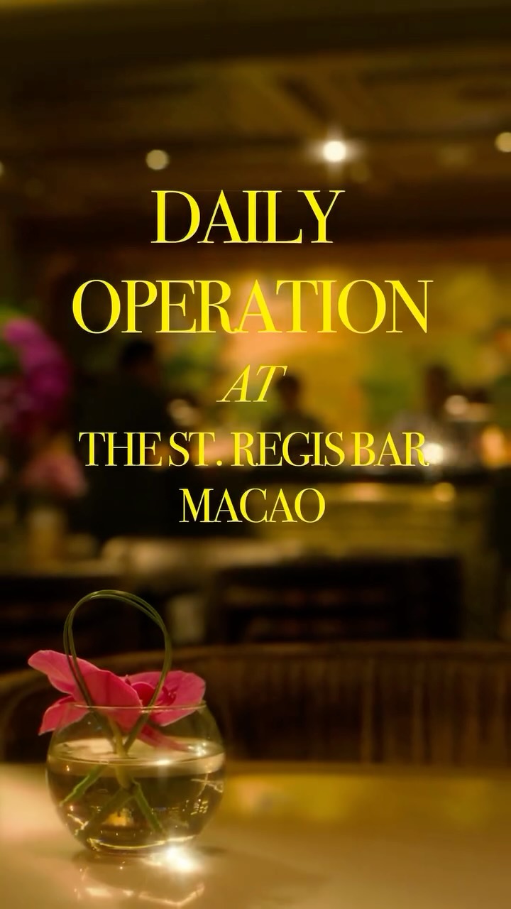 Video 4 from The St. Regis Bar