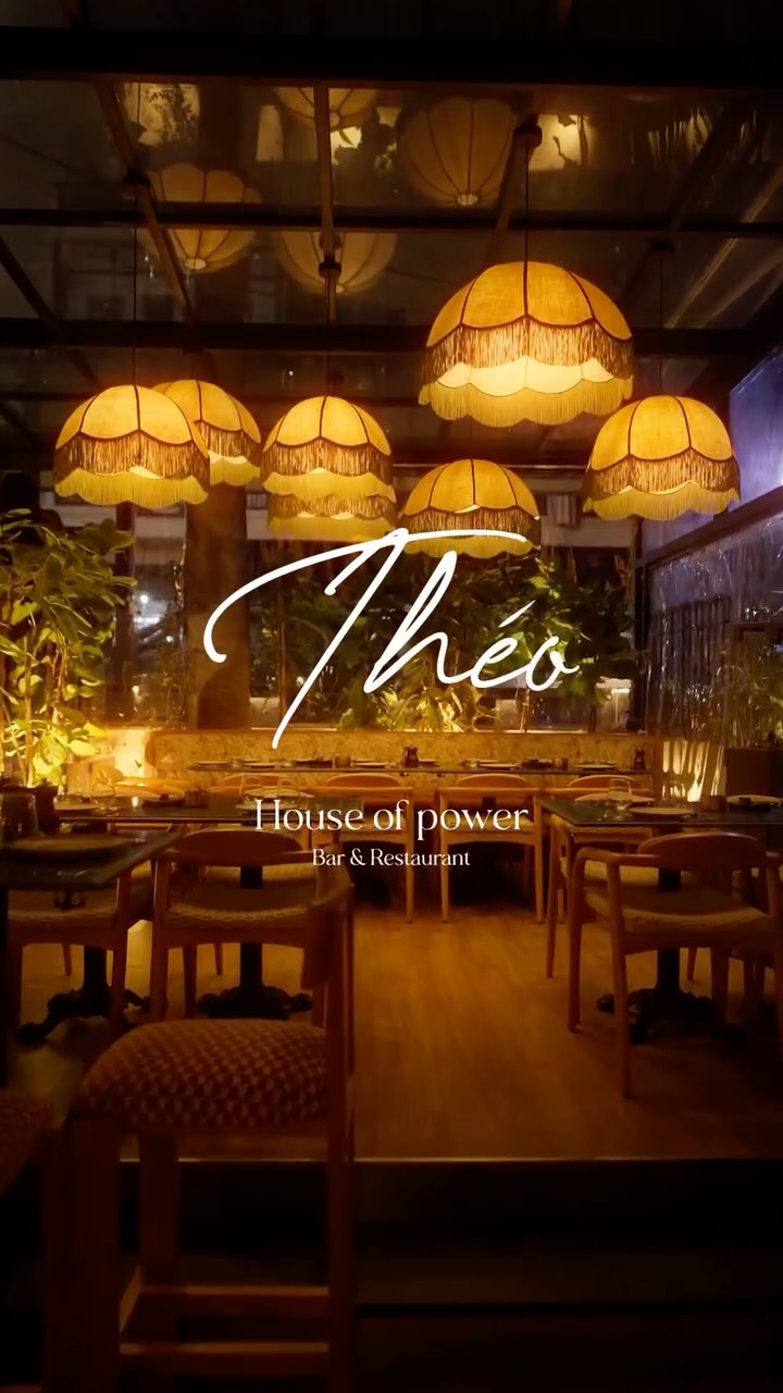 Video 6 from Theo