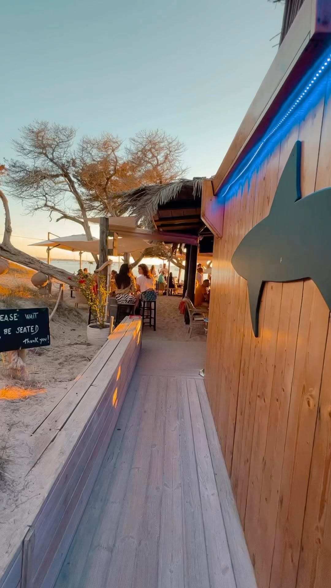 Video 8 from Tiburón  