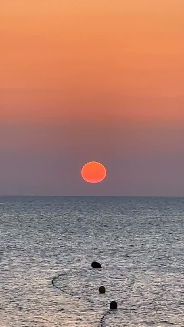 Video 2 from Tiburón  