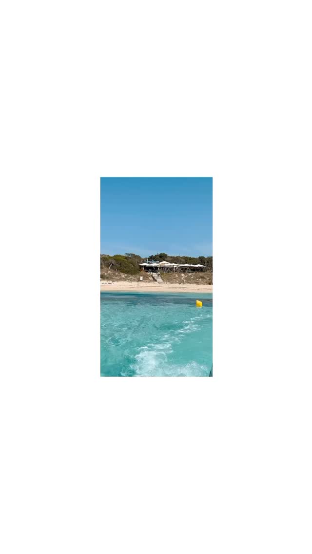 Video 5 from Tiburón  