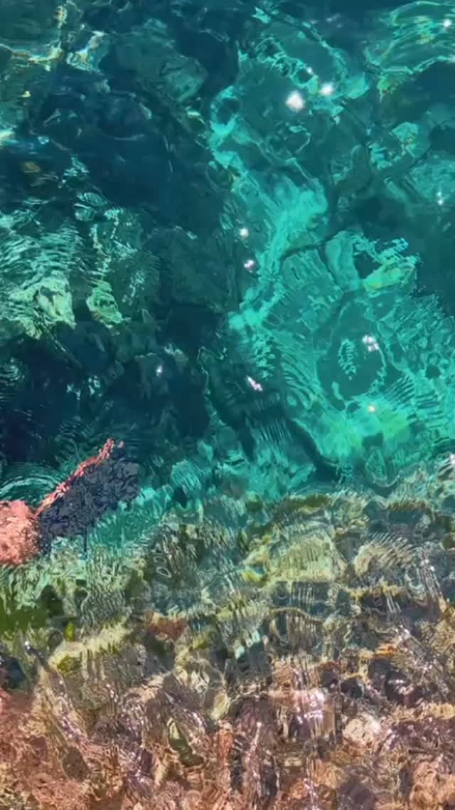 Video 1 from Torre Saracena Beach Club
