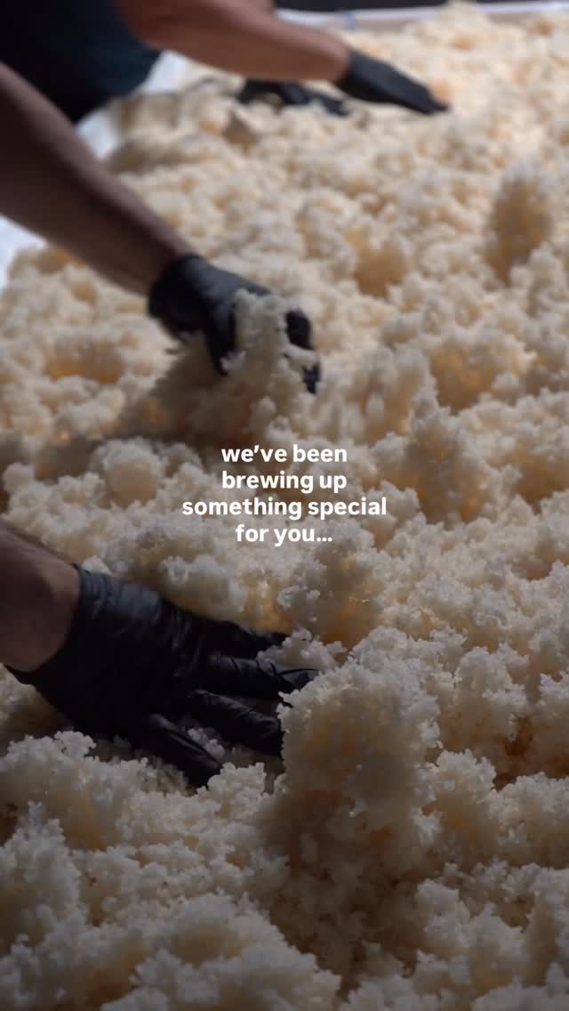 Video 1 from Uchi Charlotte