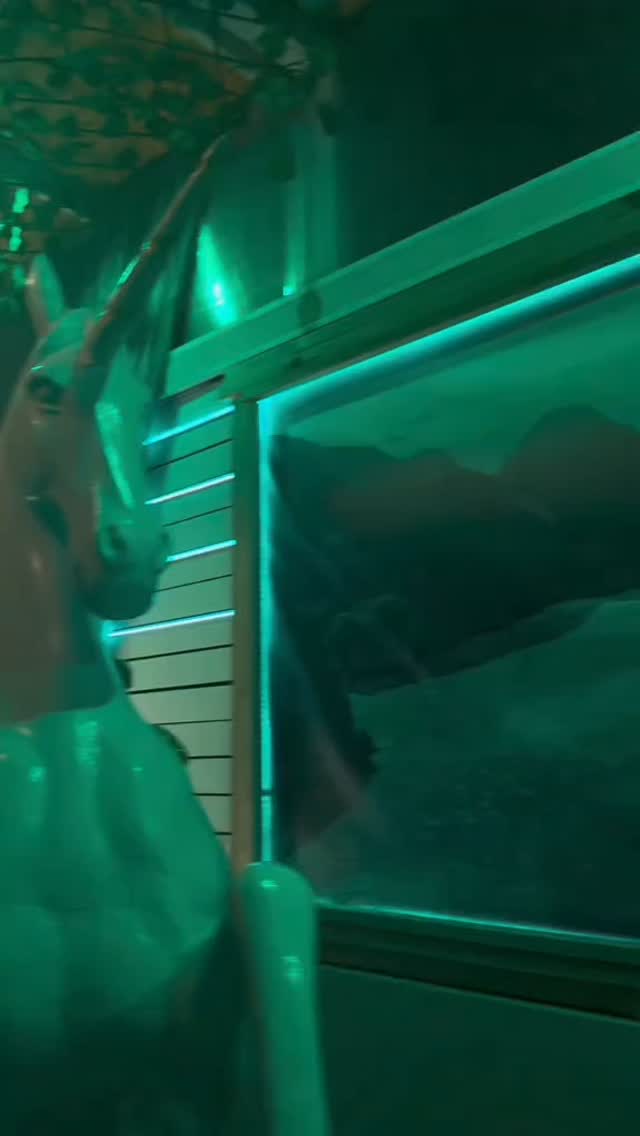 Video 3 from Uniq Beach Bar