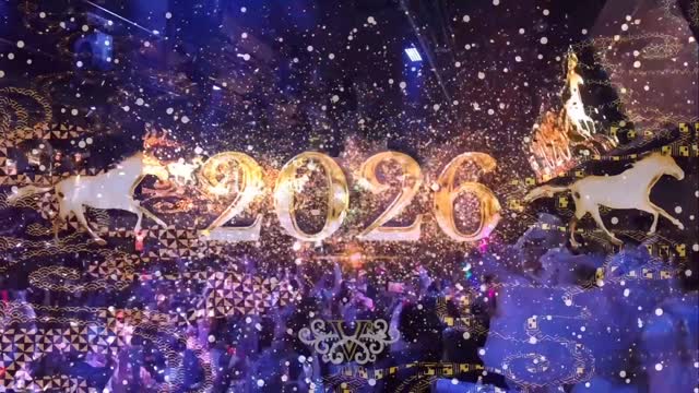Video 4 from V2 Tokyo