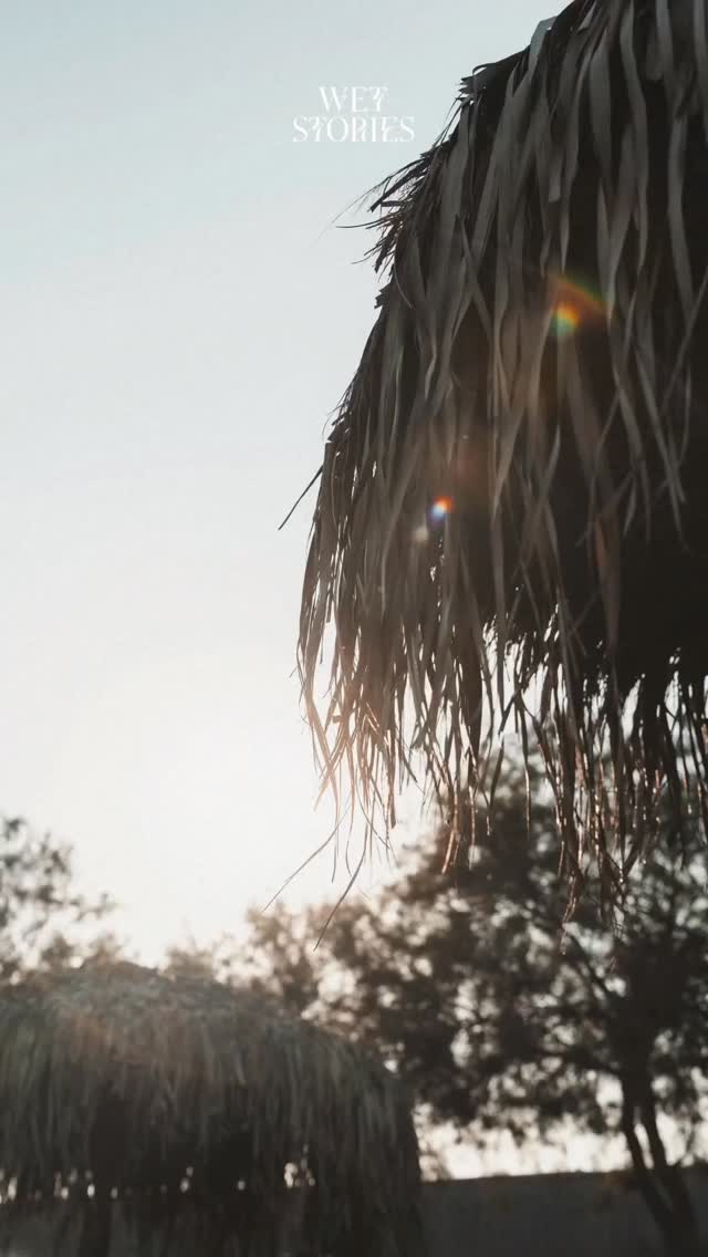 Video 5 from Wet Stories