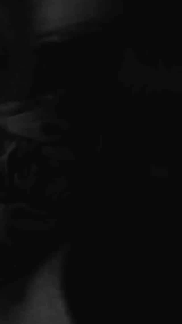Video 3 from Whisler's