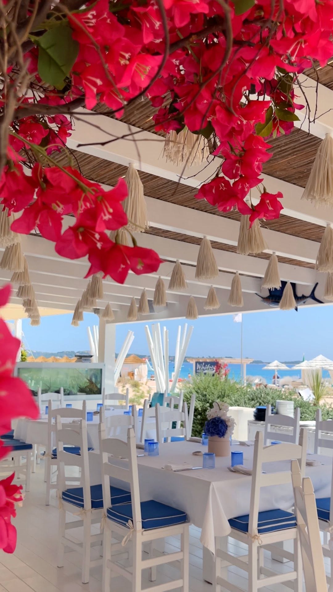 Video 8 from White Beach Club