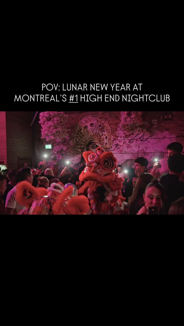 Video 5 from Yoko Luna