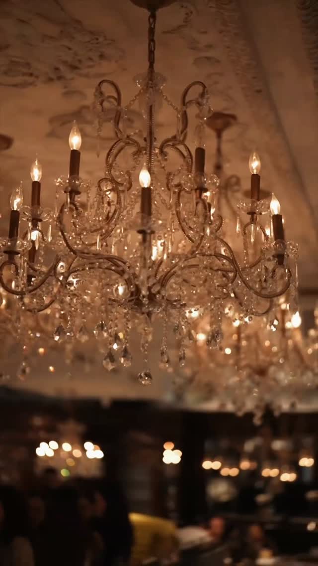 Video 3 from Yvonne's