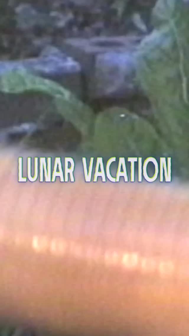 Video 5 from Zanza Bar