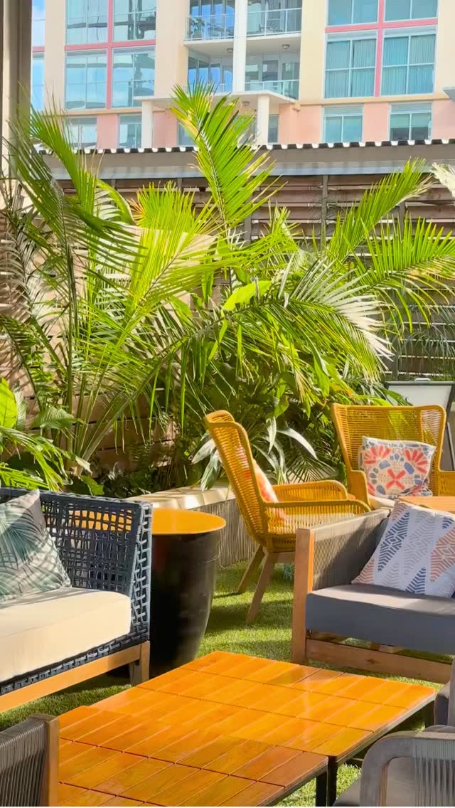 Video 8 from Zanzibar