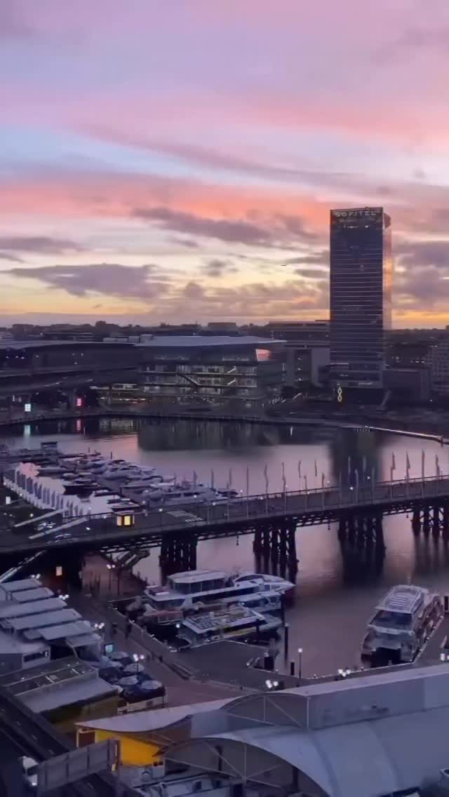 Video 6 from Zephyr Bar